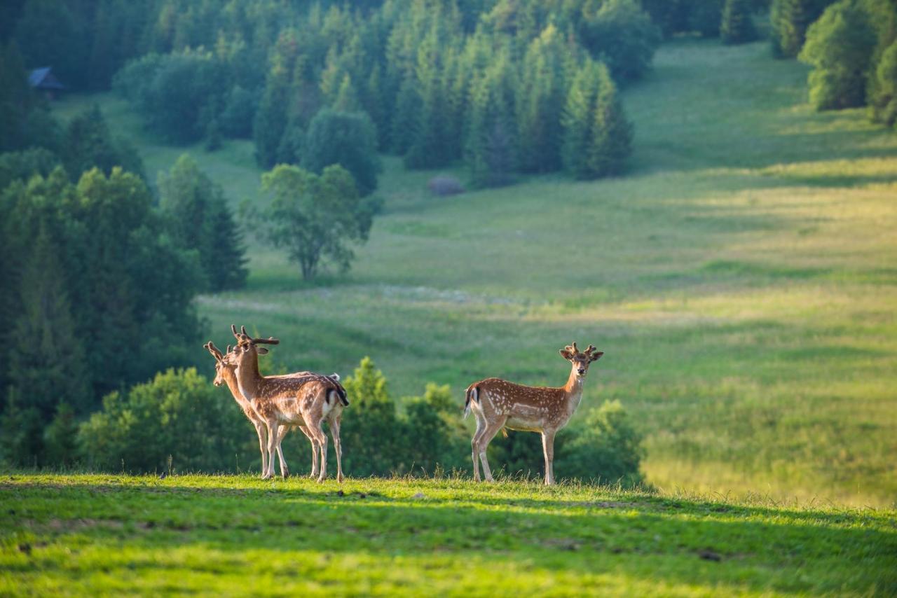 Penzion Safran Ždiar Buitenkant foto