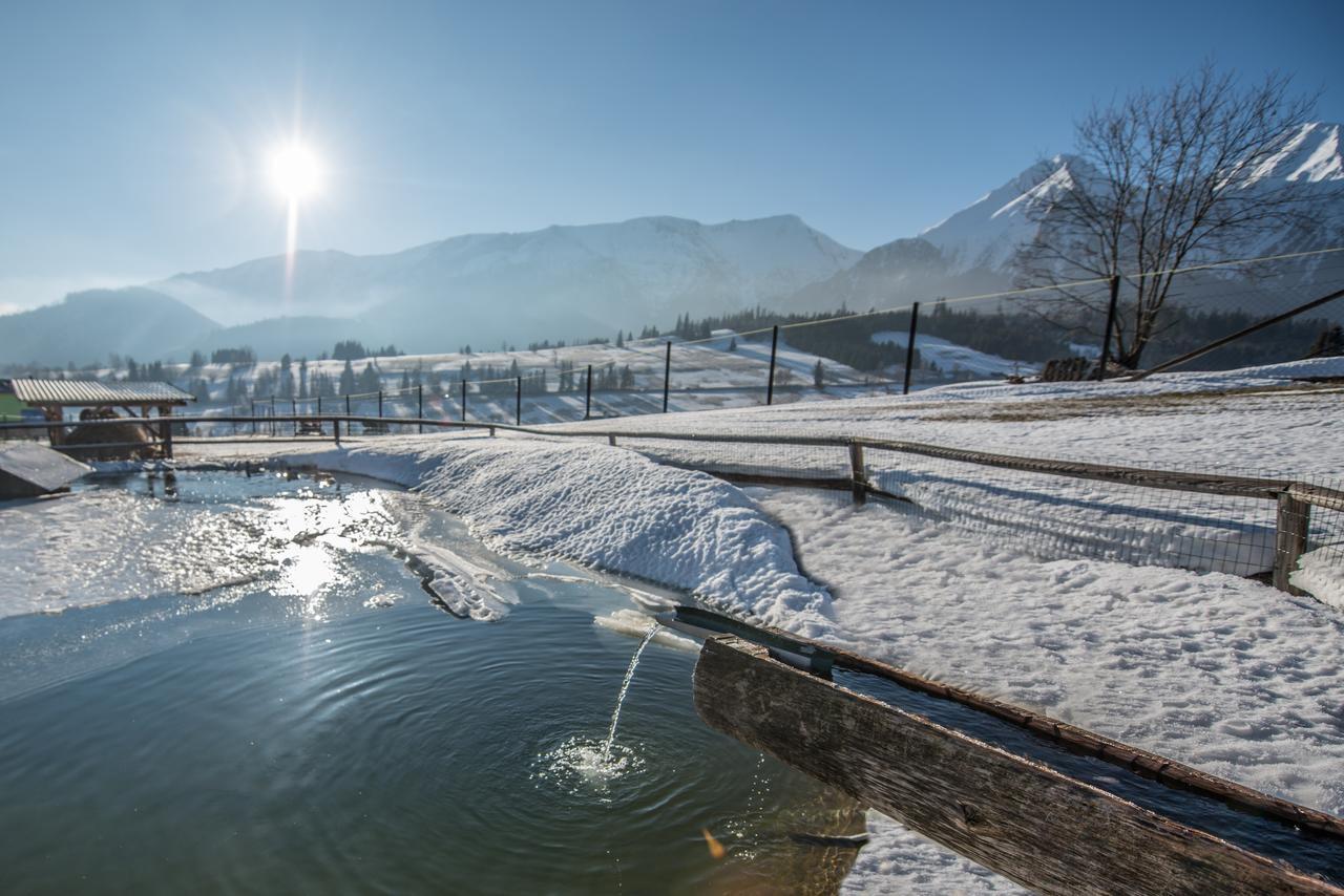 Penzion Safran Ždiar Buitenkant foto